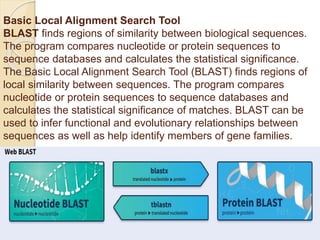 Basic Local Alignment Search Tool
BLAST finds regions of similarity between biological sequences.
The program compares nucleotide or protein sequences to
sequence databases and calculates the statistical significance.
The Basic Local Alignment Search Tool (BLAST) finds regions of
local similarity between sequences. The program compares
nucleotide or protein sequences to sequence databases and
calculates the statistical significance of matches. BLAST can be
used to infer functional and evolutionary relationships between
sequences as well as help identify members of gene families.
 