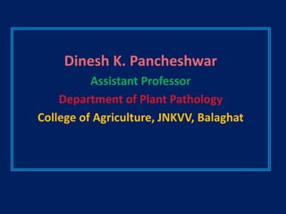 Dinesh K. Pancheshwar
Assistant Professor
Department of Plant Pathology
College of Agriculture, JNKVV, Balaghat
 