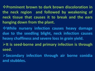 Blast and leaf spot of finger millet (RAGI) | PPTX