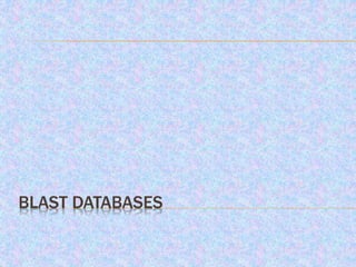 BLAST DATABASES:
 can be produced with stand-alone formatdb
and a FASTA file.
 are always (?) produced with the formatdb...