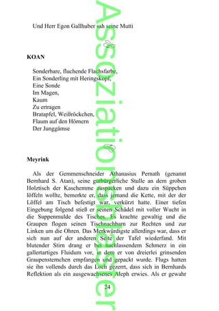 Und Herr Egon Gallhuber sah seine Mutti
KOAN
Sonderbare, fluchende Flachsfarbe,
Ein Sonderling mit Heringskopf,
Eine Sonde
Im Magen,
Kaum
Zu ertragen
Bratapfel, Weißröckchen,
Flaum auf den Hörnern
Der Junggämse
Meyrink
Als der Gemmenschneider Athanasius Pernath (genannt
Bernhard S. Atan), seine gutbürgerliche Stulle an dem groben
Holztisch der Kaschemme auspacken und dazu ein Süppchen
löffeln wollte, bemerkte er, dass jemand die Kette, mit der der
Löffel am Tisch befestigt war, verkürzt hatte. Einer tiefen
Eingebung folgend stieß er seinen Schädel mit voller Wucht in
die Suppenmulde des Tisches. Es krachte gewaltig und die
Graupen flogen seinen Tischnachbarn zur Rechten und zur
Linken um die Ohren. Das Merkwürdigste allerdings war, dass er
sich nun auf der anderen Seite der Tafel wiederfand. Mit
blutender Stirn drang er bei nachlassendem Schmerz in ein
gallertartiges Fluidum vor, in dem er von dreierlei grinsenden
Graupensternchen empfangen und gepackt wurde. Flugs hatten
sie ihn vollends durch das Loch gezerrt, dass sich in Bernhards
Reflektion als ein ausgewachsenes Aleph erwies. Als er gewahr
24
Assoziationsblaster
 