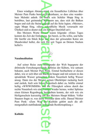 Eines windigen Abends strich ein freundliches Lüftchen über
Meister Pum Penks borstige Zinkenhaare, so dass eine wunder-
bare Melodei anhob. Da brach sein Schüler Mopp Sing in
betrübtes, laut greinendes Wimmern aus, dass sich die Balken
bogen und sich die Steine gequält auf die Seite legten. »Meister«,
sagte Mopp Sing, »diese scheußliche Musik verursacht mir
Übelkeit und es deutet sich ein heftiger Durchfall an!«
Des Meisters Worte hierauf waren folgende: »Eines Tages
kommt die Zeit der Entleerung. Sei bereit, so Du willst, und hebe
Dir hierfür ein Stück Käse auf, dass der grinsenden Katze am
Mundwinkel haftet, die sich Dir seit Tagen an Deinen Nacken
heftet!«
Nasalmeditation
Auf seiner Reise zum Mittelpunkt der Welt begegnete der
drömische Forschungsreisende Splinius der Kältere, wie sattsam
bekannt, auch Meister Pum Penk. Einmal beobachtete er diesen
dabei, wie er sich über ein Bächlein beugte und mit seinem in das
sprudelnde Wasser getauchten linken Nasenloch heftig Wasser
ansog. Dann riss der Meister seinen Oberkörper ruckartig hoch
und zurück, hielt sein linkes Nasenloch dabei zu, brüllte einmal
heftig »WWWOMMM« und die Flüssigkeit schoss durch das
rechte Nasenloch wie eine Fontäne wieder heraus, wobei Splinius
einen kleinen Regenbogen beobachten konnte, der sich wie ein
Heiligenschein kurzzeitig um des Meisters Haupt bildete. Voller
Staunen fragte er, was diese Prozedur denn solle. Darauf Meister
Pum Penk: »Zum Weg des Kaihido gehört auch die all-
morgendlich stattfindende, reinigende Resthirnspülung.«
Kaihido
35
Assoziationsblaster
 