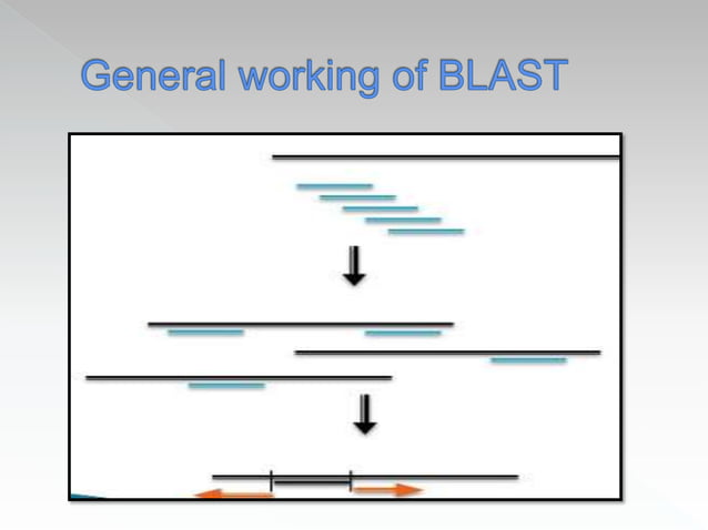 Blast And Fasta