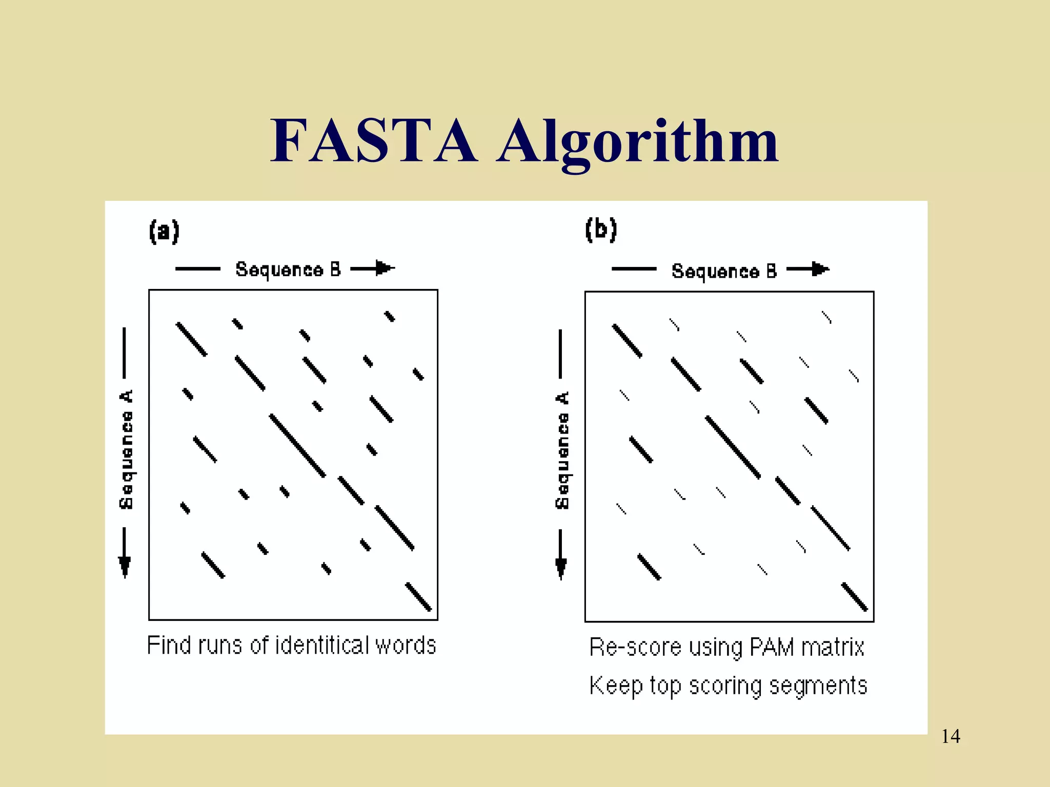 FASTA Algorithm




                  14
 