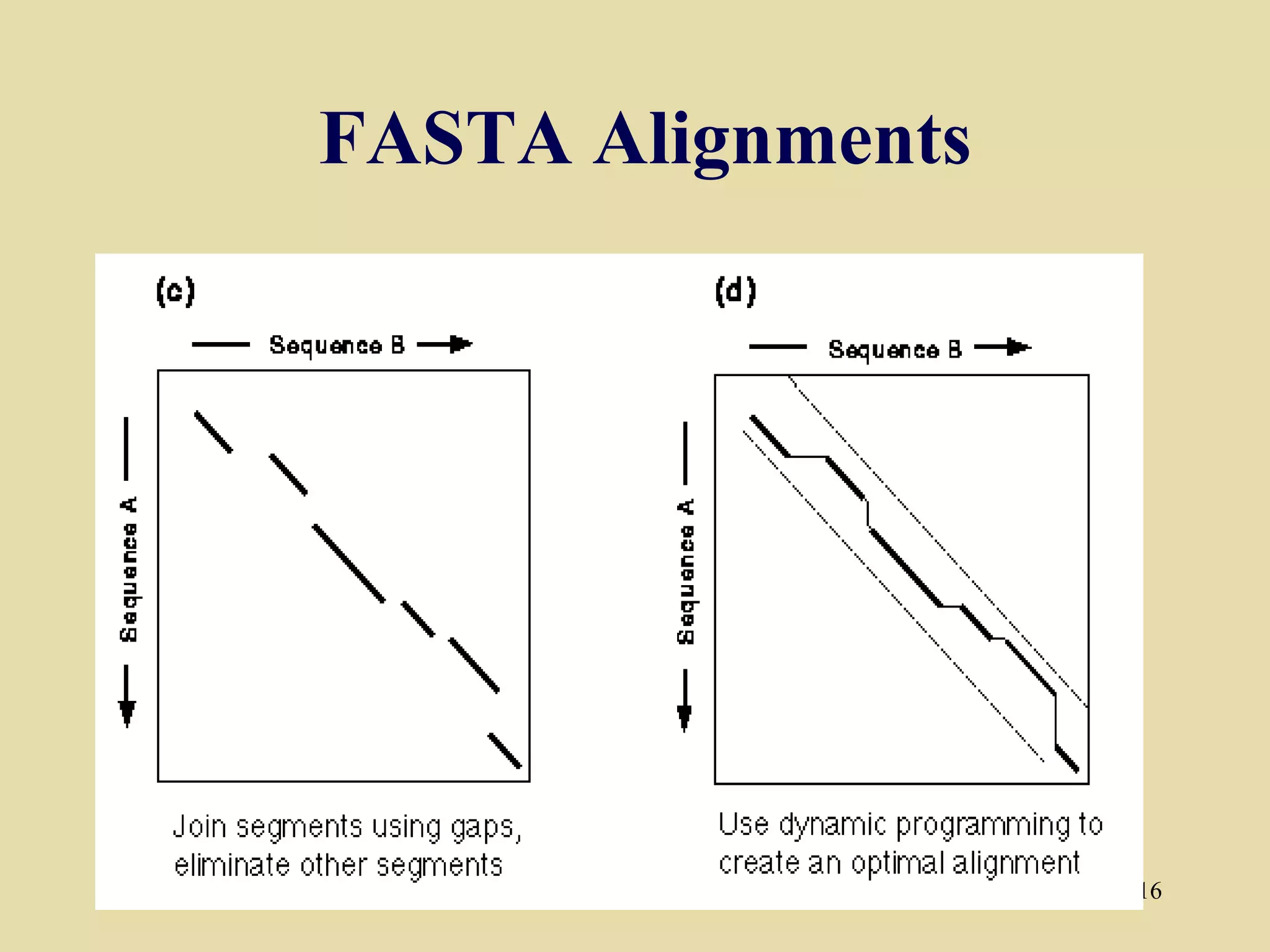 FASTA Alignments




                   16
 