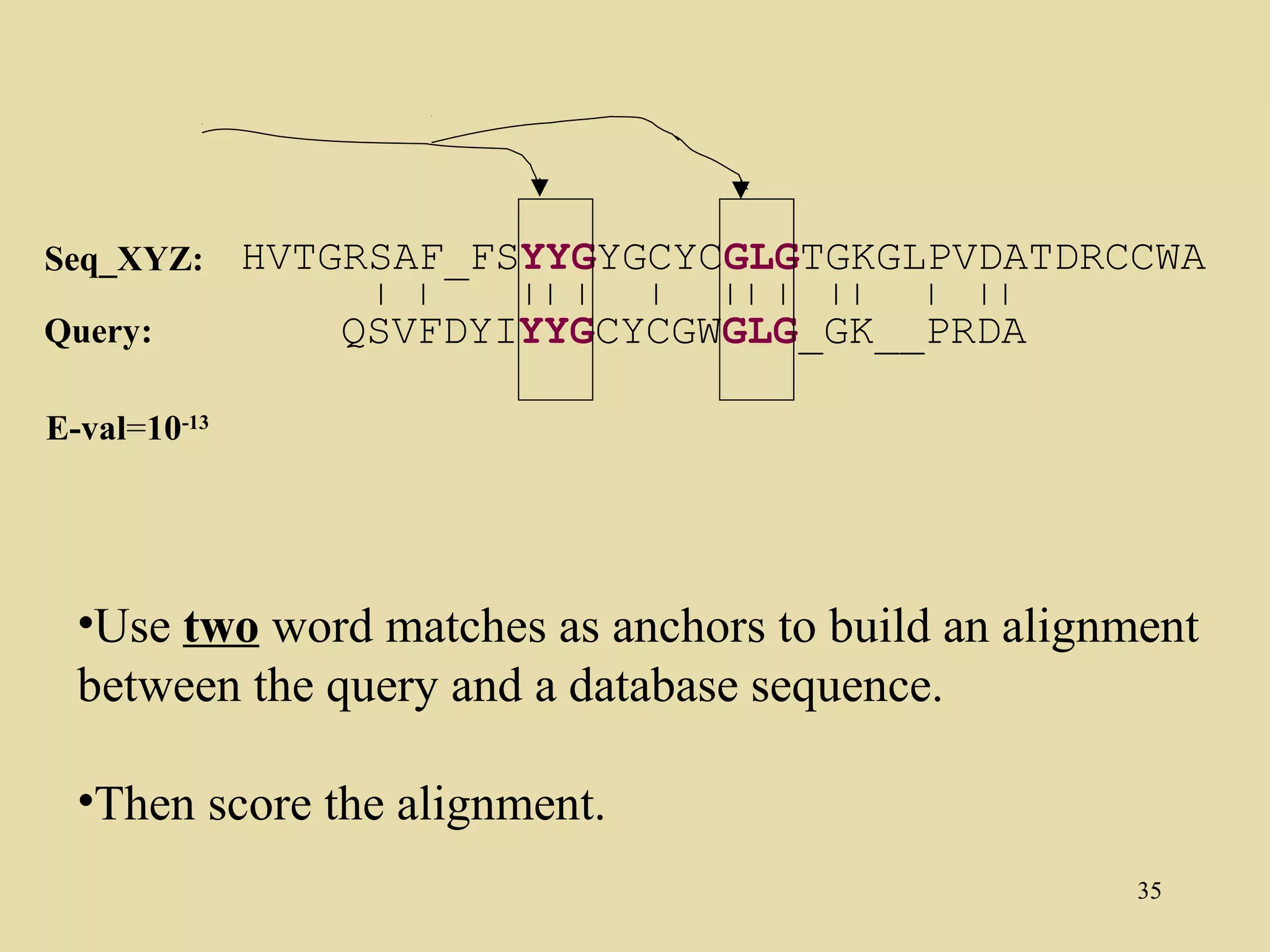 Seq_XYZ:      HVTGRSAF_FSYYGYGCYCGLGTGKGLPVDATDRCCWA
Query:           QSVFDYIYYGCYCGWGLG_GK__PRDA

E-val=10-13




  •Use two word matches as anchors to build an alignment
  between the query and a database sequence.

  •Then score the alignment.
                                                     35
 