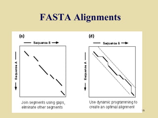 FASTA Alignments




                   16
 