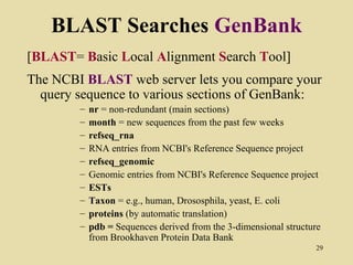 BLAST Searches GenBank
[BLAST= Basic Local Alignment Search Tool]
The NCBI BLAST web server lets you compare your
  query sequence to various sections of GenBank:
        –   nr = non-redundant (main sections)
        –   month = new sequences from the past few weeks
        –   refseq_rna
        –   RNA entries from NCBI's Reference Sequence project
        –   refseq_genomic
        –   Genomic entries from NCBI's Reference Sequence project
        –   ESTs
        –   Taxon = e.g., human, Drososphila, yeast, E. coli
        –   proteins (by automatic translation)
        –   pdb = Sequences derived from the 3-dimensional structure
            from Brookhaven Protein Data Bank
                                                                  29
 