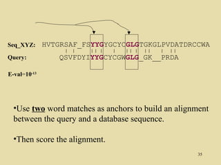 Seq_XYZ:      HVTGRSAF_FSYYGYGCYCGLGTGKGLPVDATDRCCWA
Query:           QSVFDYIYYGCYCGWGLG_GK__PRDA

E-val=10-13




  •Use two word matches as anchors to build an alignment
  between the query and a database sequence.

  •Then score the alignment.
                                                     35
 