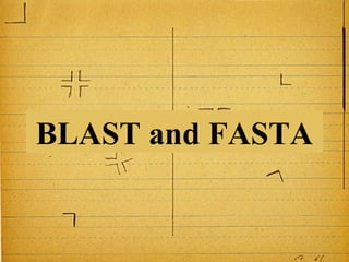 BLAST and FASTA


                  1
 