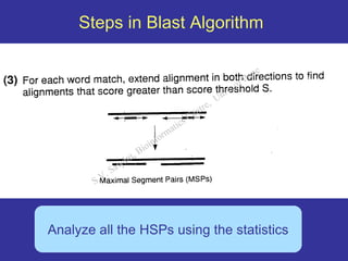 Blast for genome recognition comparitive | PDF