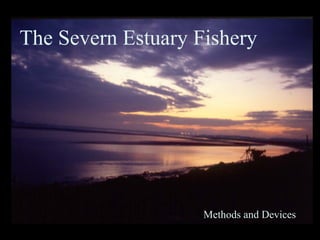 The Severn Estuary Fishery
Methods and Devices
 
