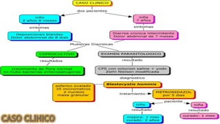 Blastocistosis (Blastocystis hominis)