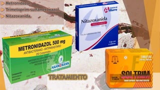 Blastocistosis (Blastocystis hominis)