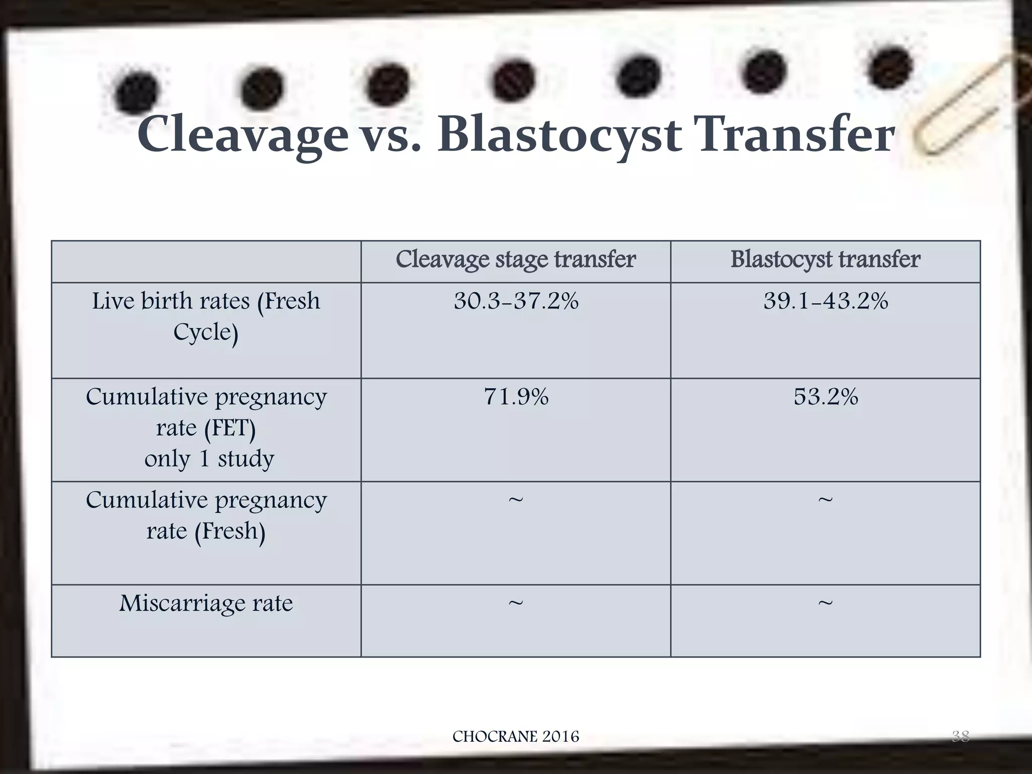Blastocyst transfer PPT
