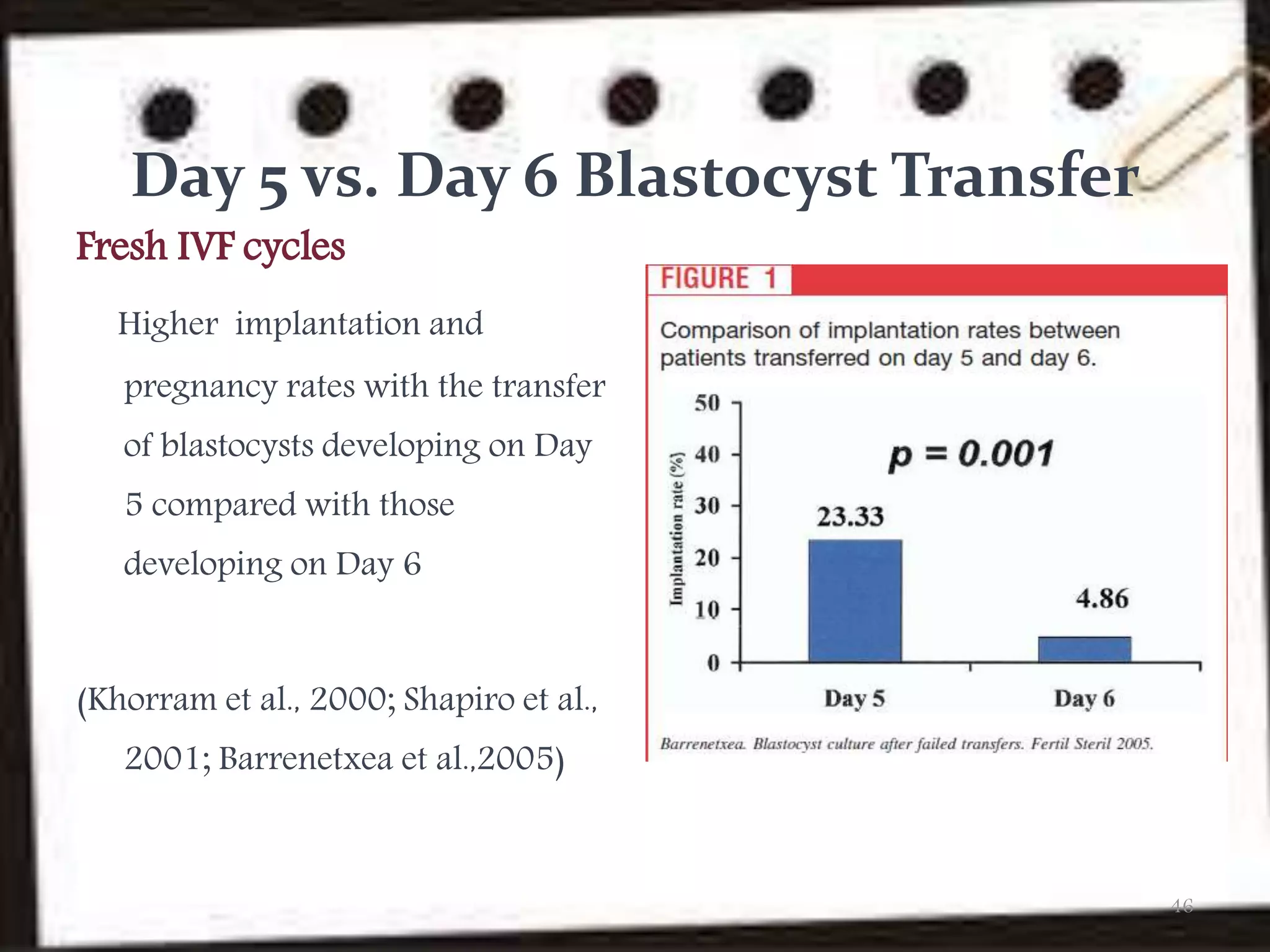 Blastocyst transfer PPT