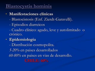 Manifestaciones clínicas  - Blastocistosis (Enf. Zierdt-Garavelli). - Episodios diarreicos - Cuadro clínico: agudo, leve y autolimitado  o crónico.  Epidemiologia  - Distribución cosmopolita. 5-20%  en paises desarrollados 60-80%  en paises en vias de desarrollo. CHILE: 60% Blastocystis hominis 