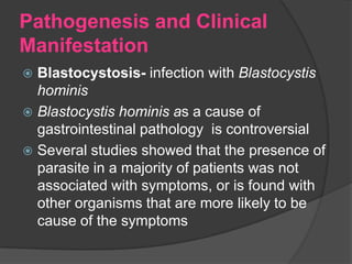 Pathogenesis and Clinical
Manifestation
 Blastocystosis- infection with Blastocystis
  hominis
 Blastocystis hominis as a cause of
  gastrointestinal pathology is controversial
 Several studies showed that the presence of
  parasite in a majority of patients was not
  associated with symptoms, or is found with
  other organisms that are more likely to be
  cause of the symptoms
 