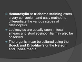  Hematoxylin or trichome staining offers
  a very convenient and easy method to
  differentiate the various stages of
  Blastocystis
 Leukocytes are usually seen in fecal
  smears and stool eosinophilia may also be
  observed
 The organism can be cultured using the
  Boeck and Drbohlav’s or the Nelson
  and Jones media
 