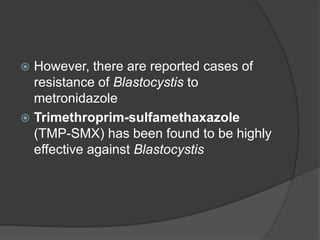  However, there are reported cases of
  resistance of Blastocystis to
  metronidazole
 Trimethroprim-sulfamethaxazole
  (TMP-SMX) has been found to be highly
  effective against Blastocystis
 