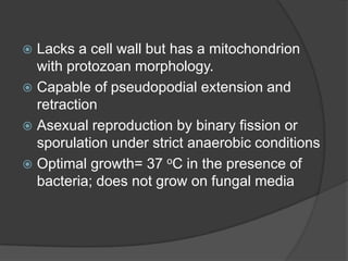  Lacks a cell wall but has a mitochondrion
  with protozoan morphology.
 Capable of pseudopodial extension and
  retraction
 Asexual reproduction by binary fission or
  sporulation under strict anaerobic conditions
 Optimal growth= 37 oC in the presence of
  bacteria; does not grow on fungal media
 