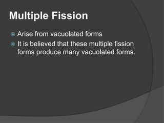 Multiple Fission
 Arise from vacuolated forms
 It is believed that these multiple fission
  forms produce many vacuolated forms.
 
