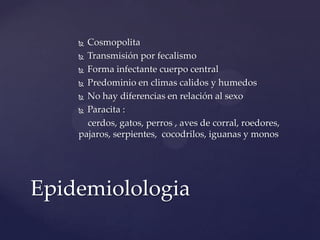  Cosmopolita
     Transmisión por fecalismo

     Forma infectante cuerpo central

     Predominio en climas calidos y humedos

     No hay diferencias en relación al sexo

     Paracita :

      cerdos, gatos, perros , aves de corral, roedores,
    pajaros, serpientes, cocodrilos, iguanas y monos




Epidemiolologia
 