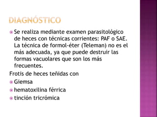  Se realiza mediante examen parasitológico
de heces con técnicas corrientes: PAF o SAE.
La técnica de formol-éter (Teleman) no es el
más adecuada, ya que puede destruir las
formas vacuolares que son los más
frecuentes.
Frotis de heces teñidas con
 Giemsa
 hematoxilina férrica
 tinción tricrómica
 