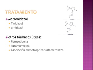  Metronidazol
 Tinidazol
 ornidazol
 otros fármacos útiles:
 Furozolidona
 Paramomicina
 Asociación trimetroprim-sulfametoxazol.
 