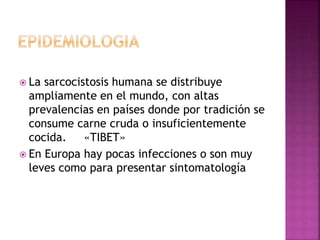  La sarcocistosis humana se distribuye
ampliamente en el mundo, con altas
prevalencias en países donde por tradición se
consume carne cruda o insuficientemente
cocida. «TIBET»
 En Europa hay pocas infecciones o son muy
leves como para presentar sintomatología
 