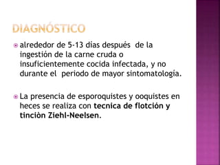  alrededor de 5-13 días después de la
ingestión de la carne cruda o
insuficientemente cocida infectada, y no
durante el periodo de mayor sintomatología.
 La presencia de esporoquistes y ooquistes en
heces se realiza con tecnica de flotción y
tinciòn Ziehl-Neelsen.
 
