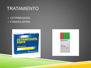 TRATAMIENTO
COTRIMOXAZOL
FURAZOLIDONA