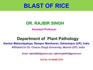 BLAST OF RICE
DR. RAJBIR SINGH
Assistant Professor
Department of Plant Pathology
Gochar Mahavidyalaya, Rampur Maniharan, Saharanpur (UP), India
Affiliated to Ch. Charan Singh University, Meerut (UP), India
Email: rajbir25805@yahoo.com, rajbirsingh2810@gmail.com
Cell No. 91-9456613374
 