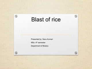 Blast of rice
Presented by: Sanu Kumari
MSc: 4th semester
Department of Botany
 