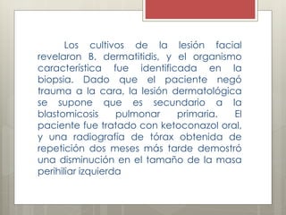 Los cultivos de la lesión facial 
revelaron B. dermatitidis, y el organismo 
característica fue identificada en la 
biopsia. Dado que el paciente negó 
trauma a la cara, la lesión dermatológica 
se supone que es secundario a la 
blastomicosis pulmonar primaria. El 
paciente fue tratado con ketoconazol oral, 
y una radiografía de tórax obtenida de 
repetición dos meses más tarde demostró 
una disminución en el tamaño de la masa 
perihiliar izquierda 
 