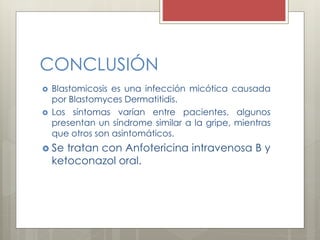 CONCLUSIÓN 
 Blastomicosis es una infección micótica causada 
por Blastomyces Dermatitidis. 
 Los síntomas varían entre pacientes, algunos 
presentan un síndrome similar a la gripe, mientras 
que otros son asintomáticos. 
 Se tratan con Anfotericina intravenosa B y 
ketoconazol oral. 
