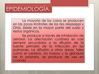 EPIDEMIOLOGÍA. 
La mayoría de los casos se producen 
en las zonas limítrofes de los ríos Mississippi y 
Ohio. Existe en la mayor parte del suelo y 
restos orgánicos. 
Se produce a través de inhalación de 
aerosol. La afectación cutánea es casi 
siempre secundaria a la difusión de la 
fuente primaria de la infección en los 
pulmones. La difusión a otras áreas, tales 
como el cerebro, los huesos y la glándula 
de la próstata, se produce de vez en 
cuando 
 
