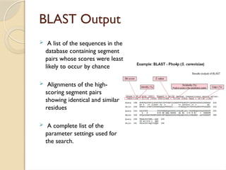 BLAST Output
 A list of the sequences in the
database containing segment
pairs whose scores were least
likely to occur by chance
 Alignments of the high-
scoring segment pairs
showing identical and similar
residues
 A complete list of the
parameter settings used for
the search.
 