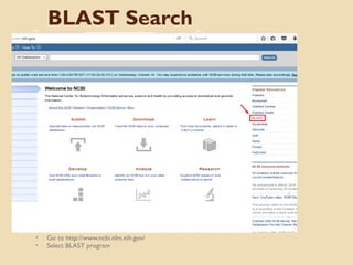 BLAST Search
• Go to http://www.ncbi.nlm.nih.gov/
• Select BLAST program
 