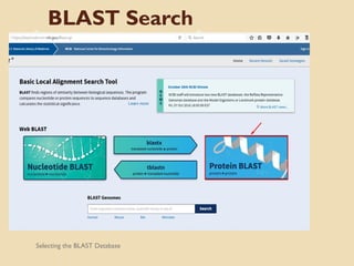 BLAST Search
Selecting the BLAST Database
 