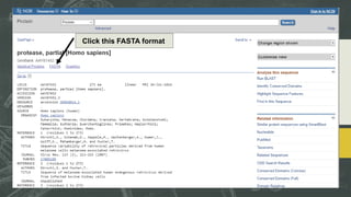 Click this FASTA format
 