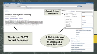 This is our FASTA
format Sequence
& Click this to save
the FASTA format
In a Note pad &
copy the format
Open it & then
Select File
 