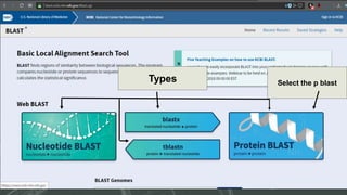 Types Select the p blast
 