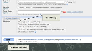 Select blastp
Click blast For result
 