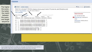 The higher
the score ,
the better
the match
between
the query
and target
sequence
 