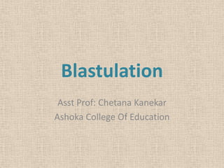 Blastulation
Asst Prof: Chetana Kanekar
Ashoka College Of Education
 