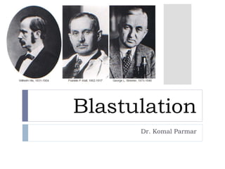 Blastulation
Dr. Komal Parmar
 