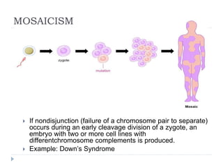 MOSAICISM
 If nondisjunction (failure of a chromosome pair to separate)
occurs during an early cleavage division of a zygote, an
embryo with two or more cell lines with
differentchromosome complements is produced.
 Example: Down’s Syndrome
 