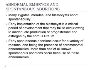 ABNORMAL EMBRYOS AND
SPONTANEOUS ABORTIONS
 Many zygotes, morulae, and blastocysts abort
spontaneously.
 Early implantation of the blastocyst is a critical
period of development that may fail to occur owing
to inadequate production of progesterone and
estrogen by the corpus luteum.
 Early spontaneous abortions occur for a variety of
reasons, one being the presence of chromosomal
abnormalities. More than half of all known
spontaneous abortions occur because of these
abnormalities.
 