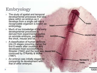 Embryology
 The study of spatial and temporal
developmental processes that take
place within an embryo as it
develops from a single cell into a
recognizable organism is known as
embryology.
 Much of our knowledge of the early
developmental processes is
derived from experimental studies
on amniote embryos, particularly
the chick, mouse and rat.
 A classification of human embryos
into 23 stages occurring during the
first 8 weeks after ovulation was
developed most successfully by
Streeter (1942) and the task was
continued by O’Rahilly & Müller
(1987).
 An embryo was initially staged by
comparing its development with
that of other embryos.
 